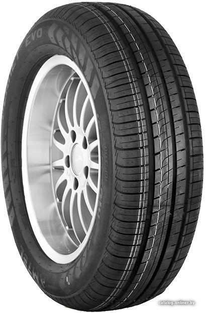 Amtel Planet EVO (1)